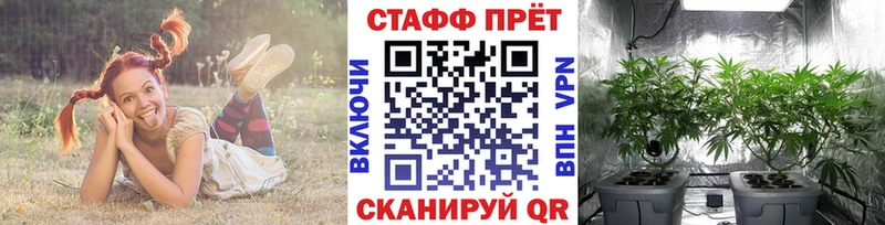 Где найти наркотики Пущино Бутират  МЕГА как зайти  Кокаин  ГАШ 