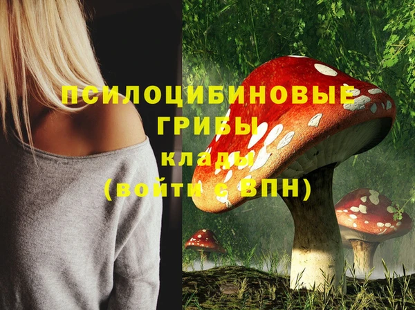 марки nbome Аркадак